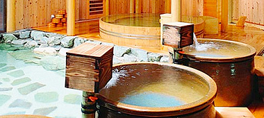 Выбор дровяной печи для сауны и бани